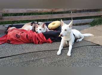 LILI und LOLI, Schwesternpaar in Süddeutschland