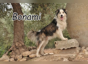 Zeigen Sie Bonami was wirkliche Liebe ist?