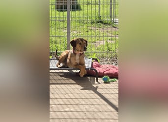 Fred will raus und lernen!