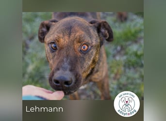 Lehmann: erzählt seine Geschichte