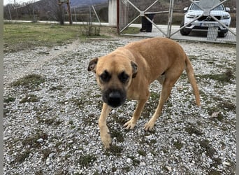 Boomer – Und es hat Boom gemacht!