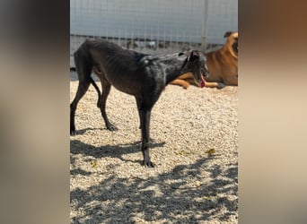 Neo, lieb und schüchtern