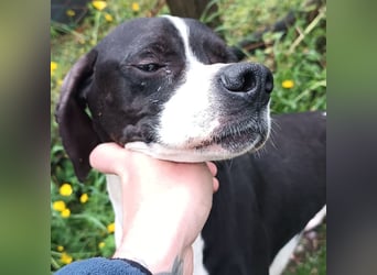 Stella  - glücklich mit Menschen - sagt Nein zur Jagd