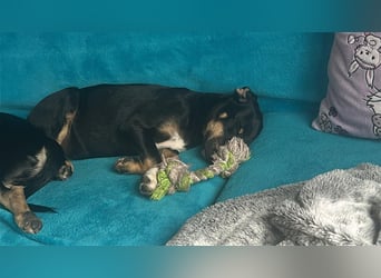 Elsa, kleiner Sonnenschein mit großem Herz