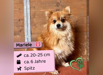 Mariele
