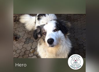 Hero: Braucht einen Superhelden