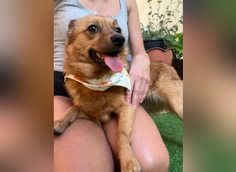 Elvira SR – Liebevolle Mama sucht ruhiges Zuhause