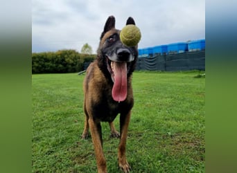 Max