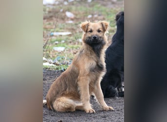 Dani sucht ihre Familie