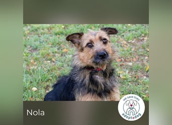Nola, sucht einfühlsame Menschen