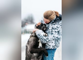 Vorsichtige Tama sucht ihre Familie