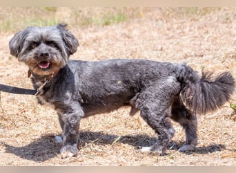 Kiko - ein charmanter Junge