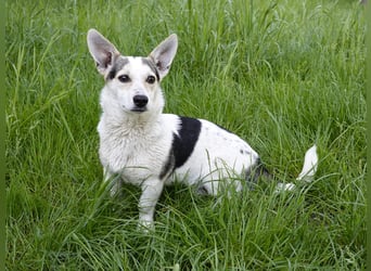 Mara und Max suchen ein Zuhause