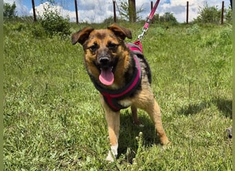 Liebe Ruby sucht eine neue Bleibe