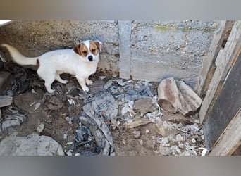 PRACLI - LEBTE ABGESCHOTTET IM EIGENEN KOT