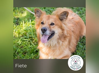 Fiete: Verwandlung durch Verständnis
