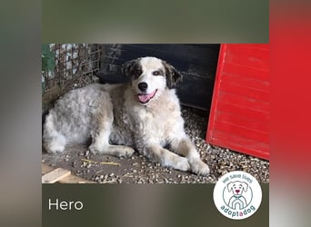 Hero: Braucht einen Superhelden