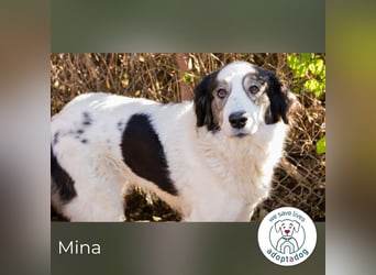 Mina: Ruhige Seele mit großem Herz