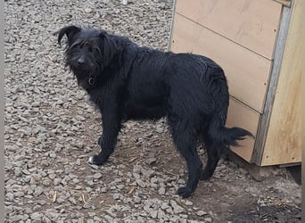 Bonnie sucht ihr eigenes Zuhause