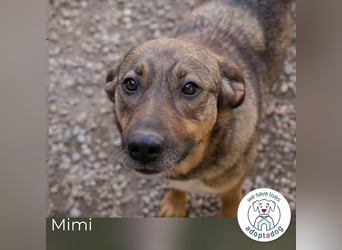 Mimi: Mit einem Lächeln ins Glück