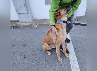 Billy: ein Leben auf 20 qm²