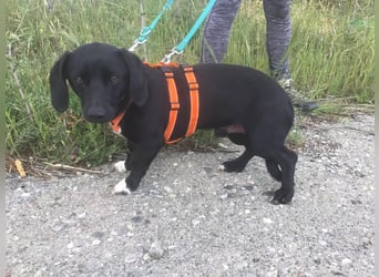 Eddie sucht seine neuen Dosenöffner