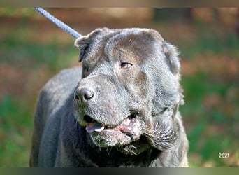 Morgan - wird hoffentlich alles besser