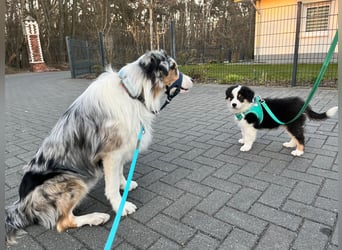 Meine Koffer sind gepackt