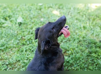 Gonza – Bewegungs-Fan sucht Nähe