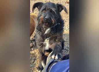 Bonnie sucht ihr eigenes Zuhause