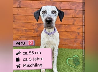 Peru - aktiv, fröhlich