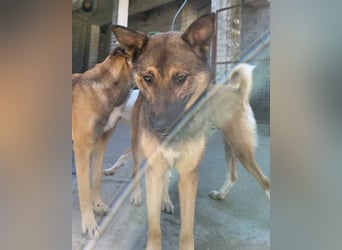 CHIARA❤️charmant, sozial, offenherzig und sucht dringend ihr Für-Immer-Nest