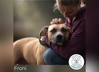 Froni: sucht starke Führung