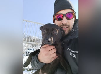 Sucki der kleine Schmuser