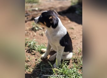Yuna sucht wundervolle Familie!