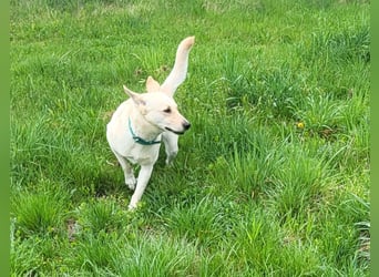 Mila, erwachsene Frau der vielen Facetten