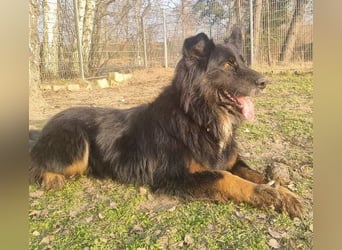 Benny