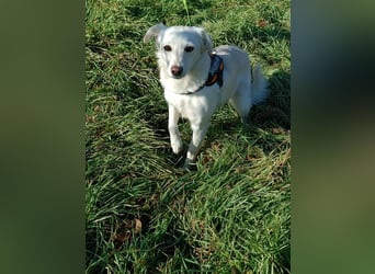 Lissy sucht eine liebevolle Familie