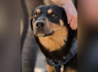 Mico ❤️ aufgeschlossen & verkuschelt!