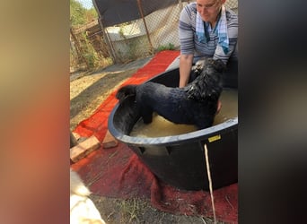 MAILA, sucht Menschen mit Herz (mit Videos!)