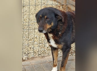Lucky: wer lässt seine Augen strahlen