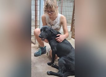 FATIME-ZUHAUSE GESUCHT