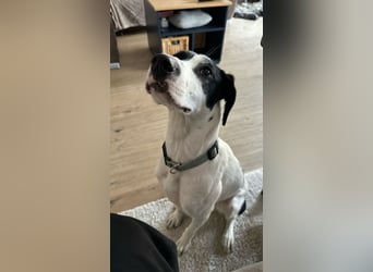 Josie möchte jetzt auch endlich ankommen
