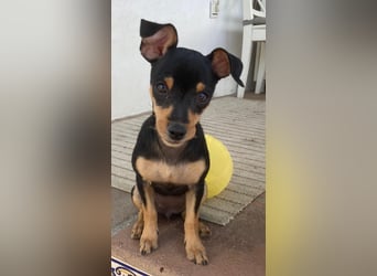 Tokio träumt von einer eigenen Familie