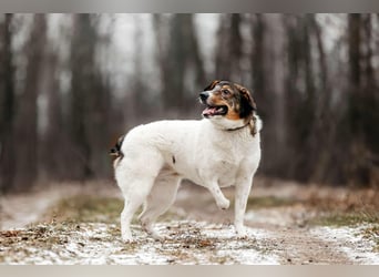 Besondere Agatha sucht ihre Menschen