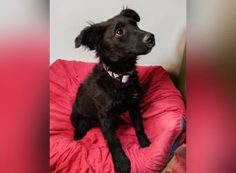 Bruna ❤️ sucht ihre Familie zum Schmusen