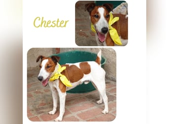 Chester