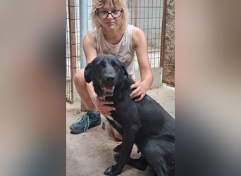 FATIME-ZUHAUSE GESUCHT