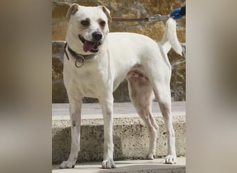 Coco, offen, menschenbezogen, freundlich