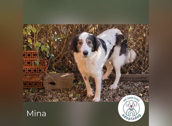 Mina: Ruhige Seele mit großem Herz